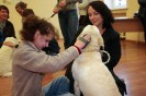 2012 09 Eden at dog therapeutics